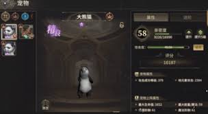 奇迹世界起源中的战士应如何选择最佳宠物-奇迹世界起源战士携带哪些宠物较为理想 奇迹世界起源中的战士应如何选择最佳宠物-奇迹世界起源战士携带哪些宠物较为理想