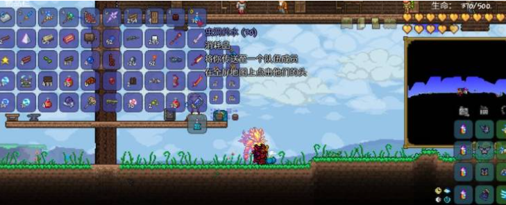 如何使用泰拉瑞亚中的虫洞药水？这里有详尽的用法指引。