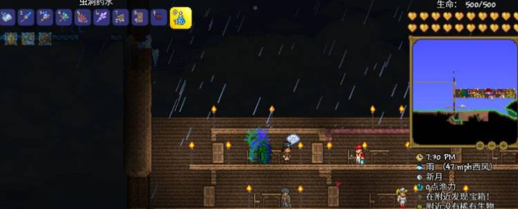 如何使用泰拉瑞亚中的虫洞药水？这里有详尽的用法指引。