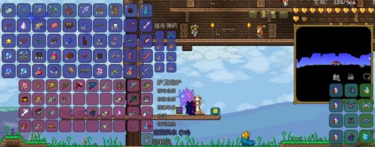 如何使用泰拉瑞亚中的虫洞药水？这里有详尽的用法指引。