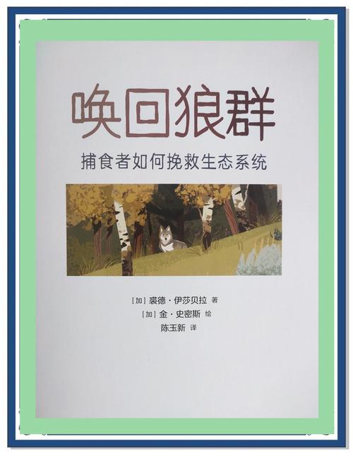 社区狼群视频上手很方便，网友：界面简洁！