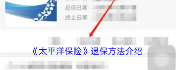 如何通过太平洋寿险app办理退保——全面解析太平洋保险app退保的方式