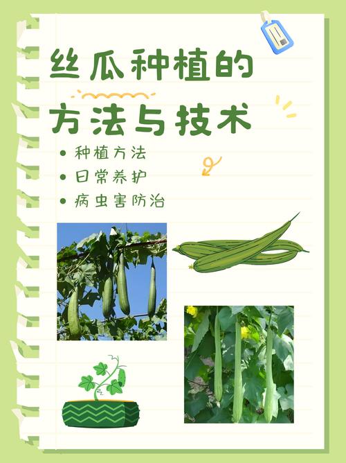 5种家庭种植秘诀：丝瓜向日葵草莓搭配鸭脖小猪趣味视频免费教程