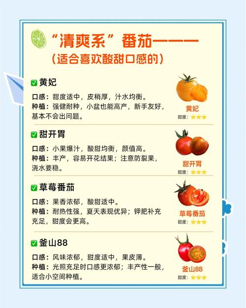 你是否还在为选种发愁？2025年小草莓樱桃丝瓜绿巨人秋葵番茄最新版品种推荐与种植技巧全解析！