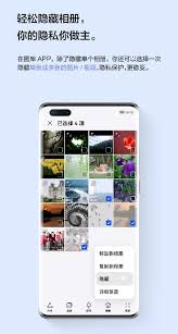 华为鸿蒙系统如何隐藏一张图片——方法分享