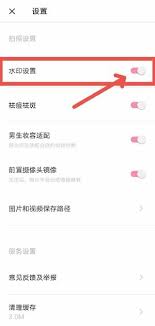 如何在轻颜相机中关闭水印功能-轻颜相机水印设置指南 如何在轻颜相机中关闭水印功能-轻颜相机水印设置指南