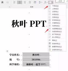 如何在Word中高效生成对齐且等长的下划线-快速实现Word中的对齐等长下划线