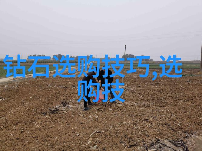 国产一卡二卡三新区2022手机版最新版V4.5.5_国产一卡二卡三新区2022手机版软件下载