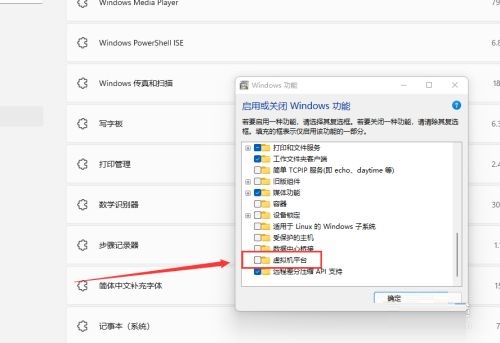 Win11虚拟机平台功能怎么启动?-虚拟机平台在Win11中如何启用 Win11虚拟机平台功能怎么启动?-虚拟机平台在Win11中如何启用