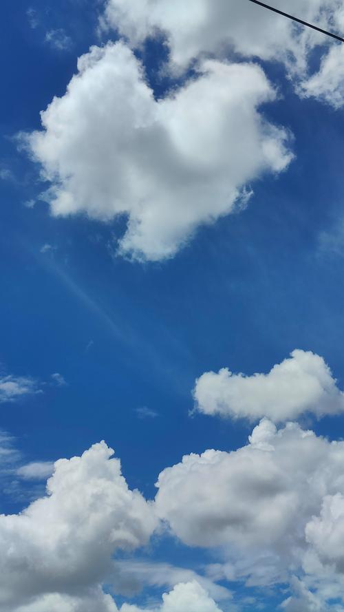 天空视频安卓版v1.9.8 官方版手机版V6.5.6_天空视频安卓版v1.9.8 官方版最新版下载