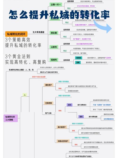 赵晨池10年实战经验：5大核心方法提升网站流量与转化率深度解析