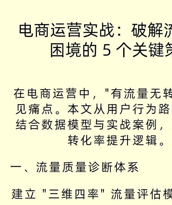 赵晨池10年实战经验：5大核心方法提升网站流量与转化率深度解析