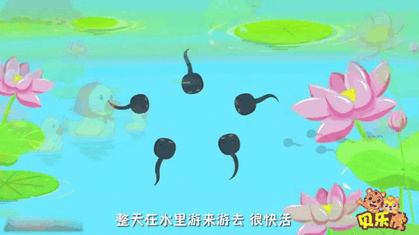 小蝌蚪xkdsp下载大全手机版V7.8.4_小蝌蚪xkdsp下载大全应用