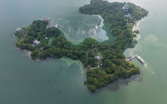 天龙共创丨我们为见少侠，特意租下了一整座岛屿！8月2号，苏州的桃花岛期待您的到来！