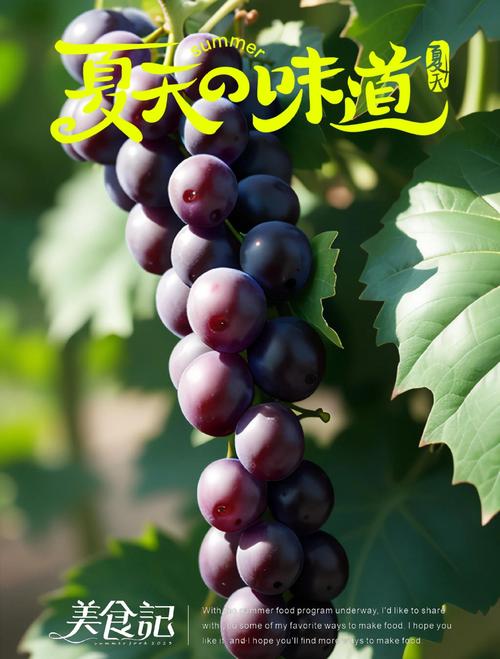 葡萄视频最新版今晚需要更新，平台：尽情期待！