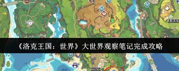 如何完成洛克王国世界观察笔记任务-有效方法指南