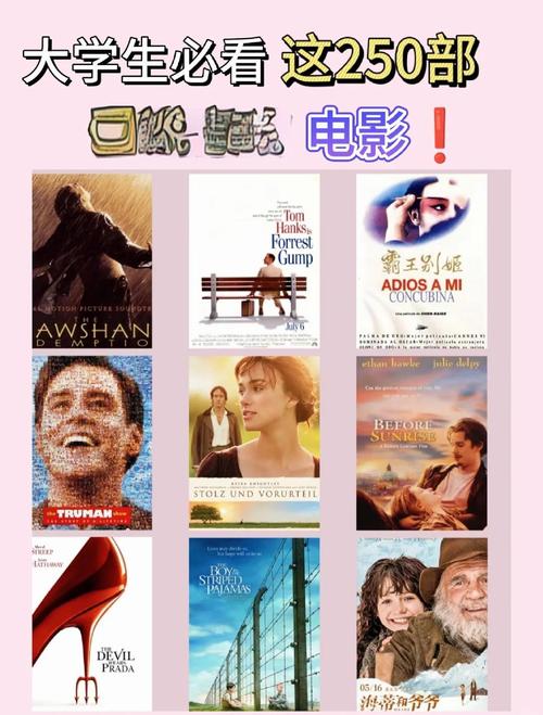 宅家观影 vs 影院体验：如何挑选适合一个人看的www高清电影？这份私藏片单请收好