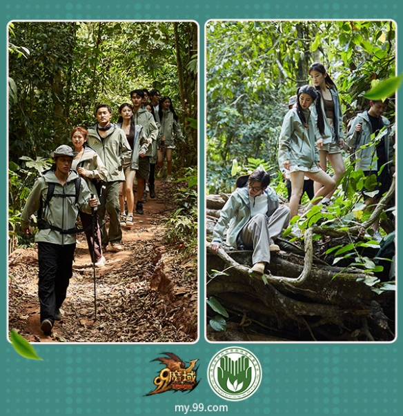 雨林深处，搭建大象食堂！《魔域》为您带来身临其境的动物互动体验