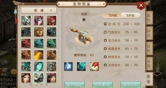 问道手游中电精角色的强化与加点策略