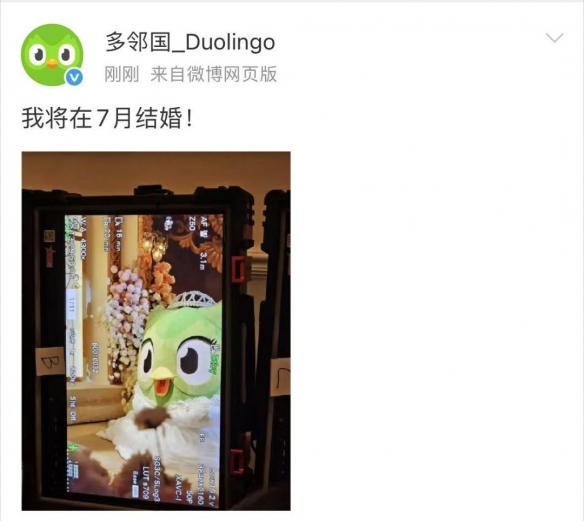 太抽象了！多邻国的吉祥物猫头鹰“多儿”宣布结婚消息！