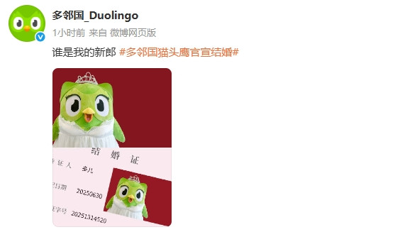 太抽象了！多邻国的吉祥物猫头鹰“多儿”宣布结婚消息！