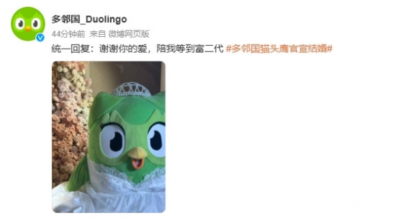太抽象了！多邻国的吉祥物猫头鹰“多儿”宣布结婚消息！