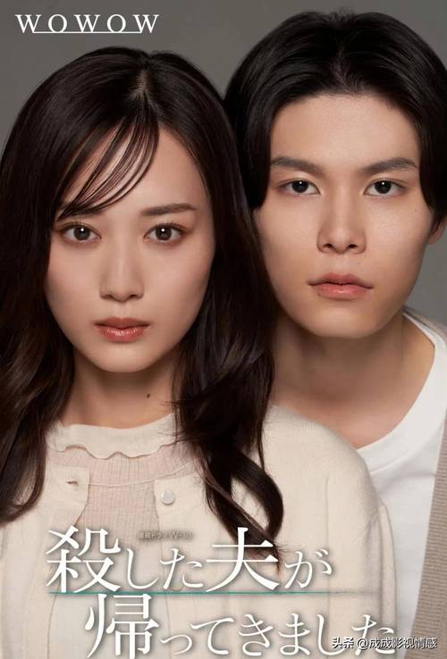 日剧迷必看！如何找到高清正版的日本一品道免费观看三区资源？