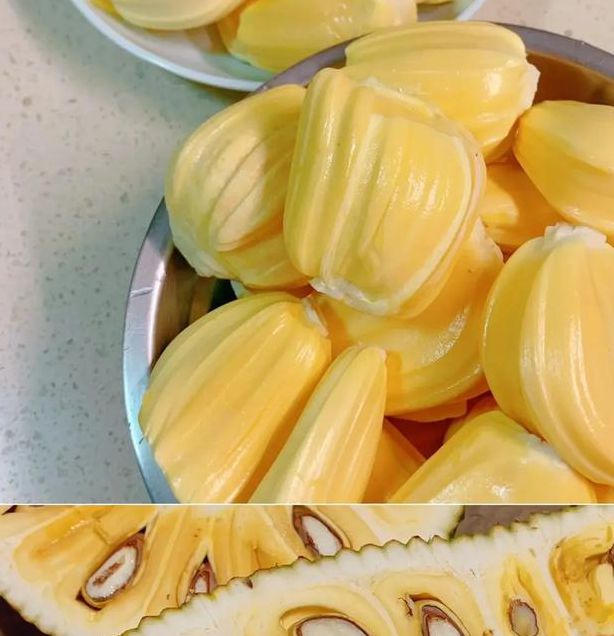 菠萝蜜夜间视频如何拍出高清质感？这些技巧你掌握了吗？