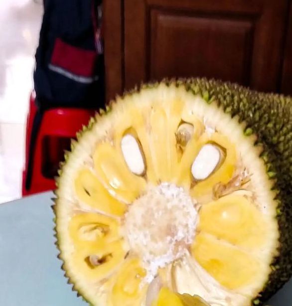 菠萝蜜夜间视频如何拍出高清质感？这些技巧你掌握了吗？