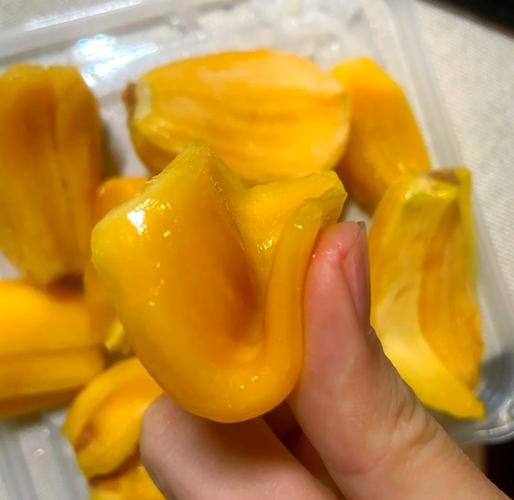 菠萝蜜夜间视频如何拍出高清质感？这些技巧你掌握了吗？