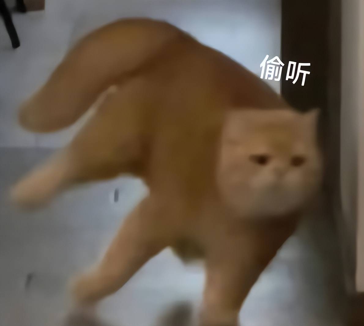 欢迎体验海量福利与创新设计,《新倩女幽魂》推出新服务器,双重玩法精彩开花。 欢迎体验海量福利与创新设计,《新倩女幽魂》推出新服务器,双重玩法精彩开花。