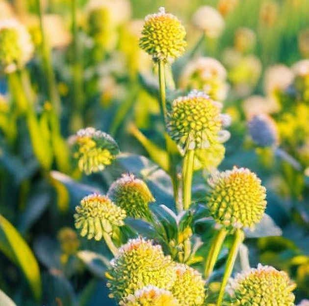 小草小草青青在线视频手机版V5.7.2_小草小草青青在线视频应用