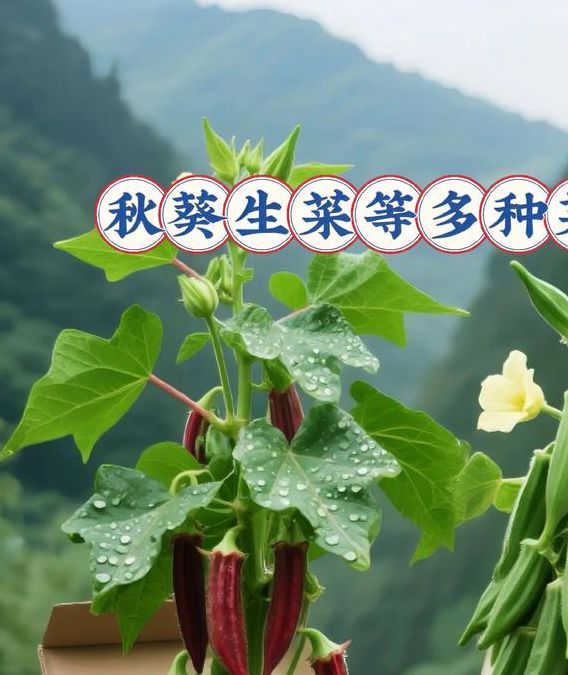 秋葵茄子丝瓜绿巨人品种栽培全解析：5步打造高产菜园的科学实践