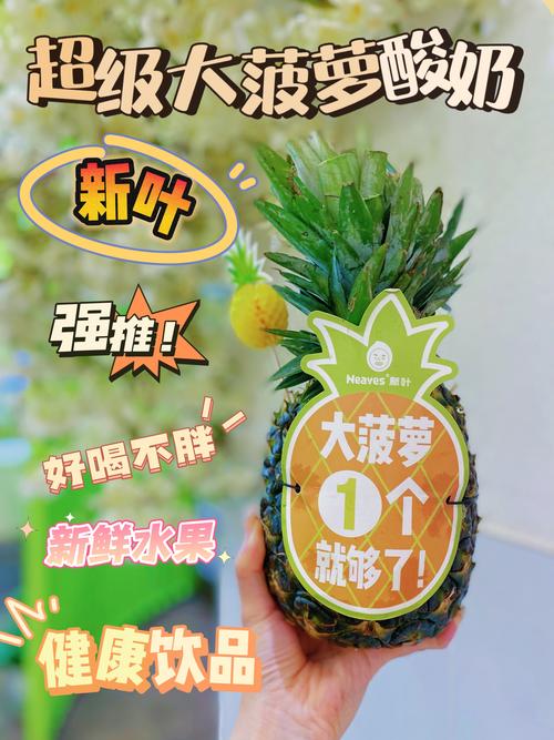 18款禁用app绿色入口大菠萝手机版V5.7.5_18款禁用app绿色入口大菠萝最新版下载 18款禁用app绿色入口大菠萝手机版V5.7.5_18款禁用app绿色入口大菠萝最新版下载