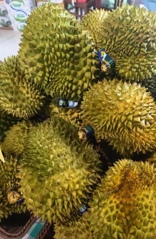 榴莲微视下载地址手机版V1.2.6_榴莲微视下载地址最新版下载