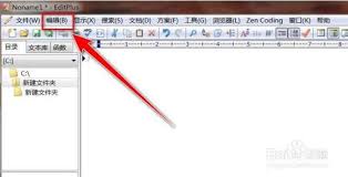 如何在EditPlus中去除段落开头的空格——EditPlus中段落首行空白消除方法