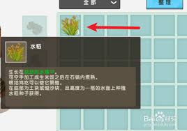 如何在迷你世界中制作一碗生米饭-迷你世界制作生米饭的方法