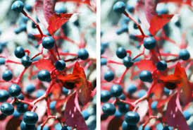 painter如何进行模糊处理-painter如何实现模糊效果