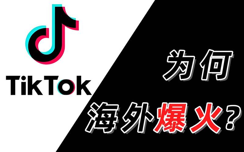 海外tiktok公会入驻链接网址软件V7.2.2_海外tiktok公会入驻链接网址APP下载