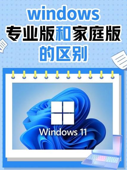 国产vpswindows厕所完整版免除会员特权，用户：干得漂亮！