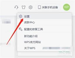 WPS电脑版如何调整文件下载默认保存路径——方法详解