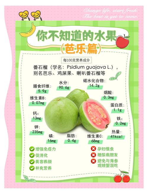 丝瓜榴莲芭乐官方大全高效解决方案：如何快速掌握核心技能？