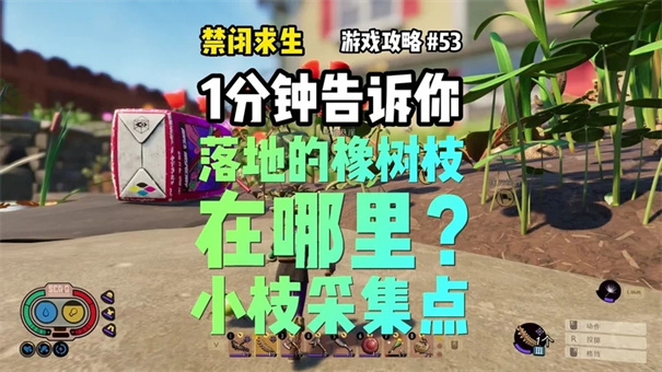 怎样在《禁闭求生2》中获得蓟刺_获取方法详解