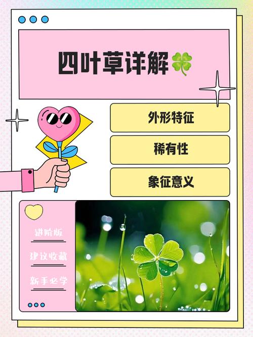 四叶草在线视频为何广受欢迎？深度解析其高效解决方案与成功因素