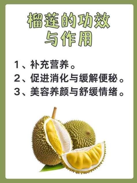 8008幸福宝最新版：5大新功能解析与实用指南