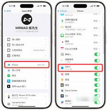 如何同步Safari浏览记录到其他设备-Safari记录同步到多设备的指南