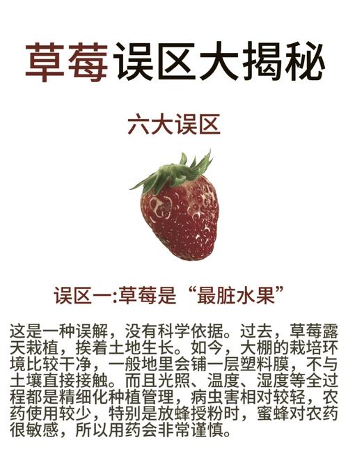 草莓app隐藏的三大神奇功能，90%的用户竟不知道？点我揭秘！