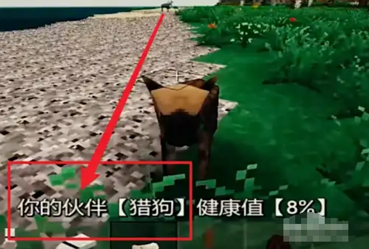 如何在生存战争2中驯化狗？-驯服狗的步骤详解