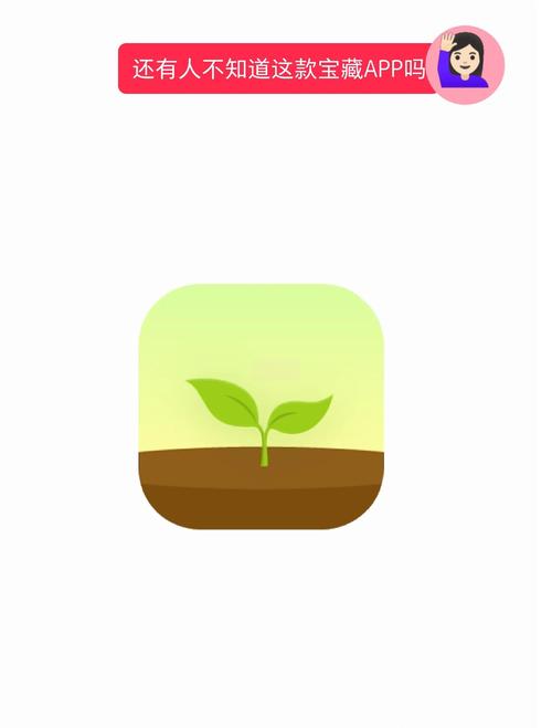 仙踪林直接入口 - design style,超多的美女主播在线直播