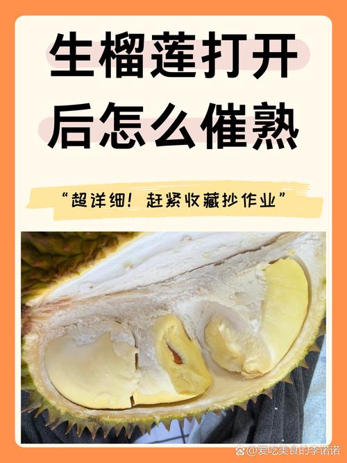 幸福宝草莓榴莲深夜释放自己iOS：深度解析其深夜情感释放的高效解决方案